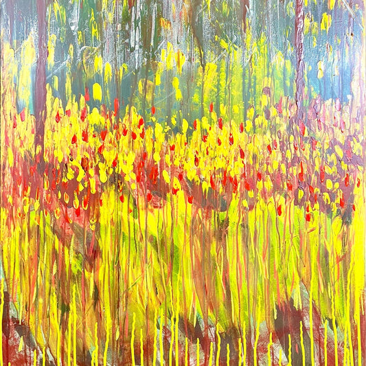 Summer’s Spring Autumn